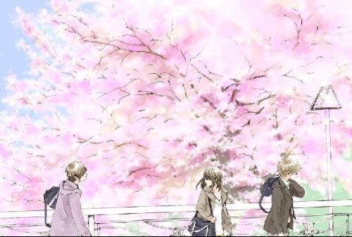 小红帽app直播平台官方